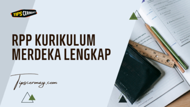 RPP Kurikulum Merdeka Paling Lengkap 7 RPP Kurikulum Merdeka Lengkap Semua Jenjang