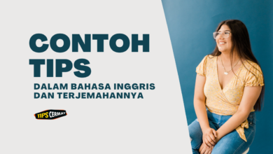 Contoh Tips Dalam Bahasa Inggris dan Terjemahannya 1 Contoh Tips Dalam Bahasa Inggris dan Terjemahannya
