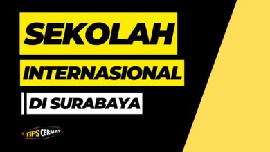 Ini 7 Sekolah Internasional di Surabaya Paling Populer 5 Ini 7 Sekolah Internasional di Surabaya Paling Populer