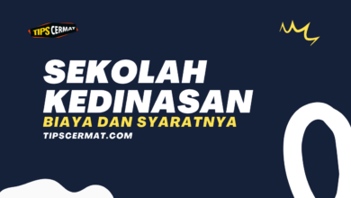 Cek Daftar Sekolah Kedinasan Update 2024 Sepi Peminat 1 Ini Daftar Sekolah Kedinasan 2023