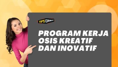 Ini Program Kerja OSIS Kreatif dan Inovatif 5 Ini Program Kerja OSIS Kreatif dan Inovatif