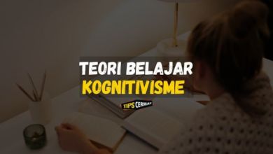 Pengertian Teori Belajar Kognitivisme dan Contohnya 13 Ketahui Tentang Teori Belajar Kognitivisme Lengkap