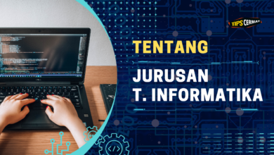 Mau Ambil Jurusan Teknik Informatika Belajar Apa? 4 Mulai Ambil Jurusan Teknik Informatika Belajar Apa