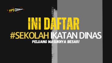 6 Sekolah Ikatan Dinas Yang Peluang Masuknya Besar Update 18 Sekolah Ikatan Dinas Yang Peluang Masuknya Besar