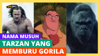 Ini Nama Musuh Tarzan yang Memburu Gorila 1 Ini Nama Musuh Tarzan yang Memburu Gorila