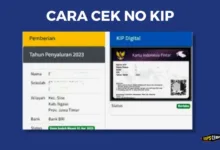 cek no kip