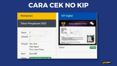 Cara Cek Nomor KIP Terbaru dan Cepat 3 cek no kip